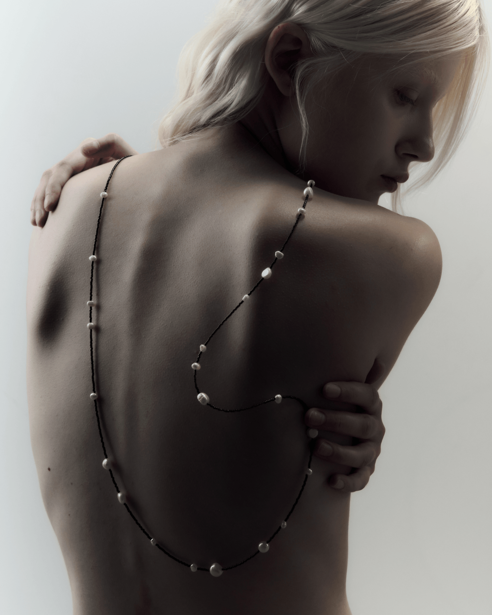 D I A Y N O C H E collection image